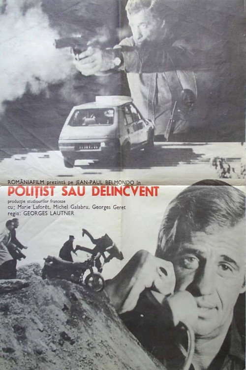 Polițist sau delincvent