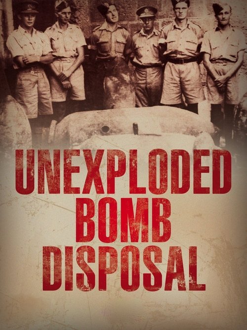 U.X.B. Unexploded Bomb Disposal WWII England poster