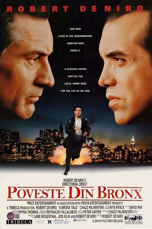 Poster pentru Poveste din Bronx
