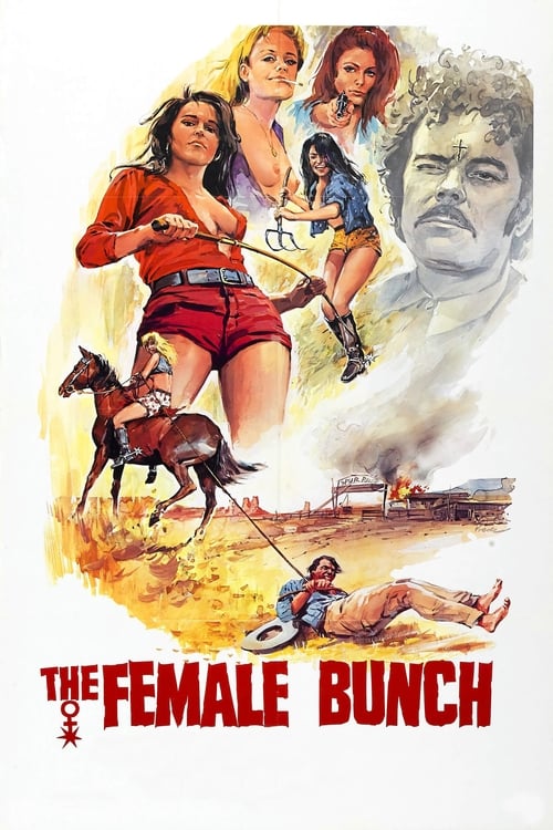 The Female Bunch (1971)