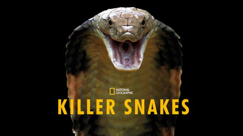 Killer Snakes Bild 1