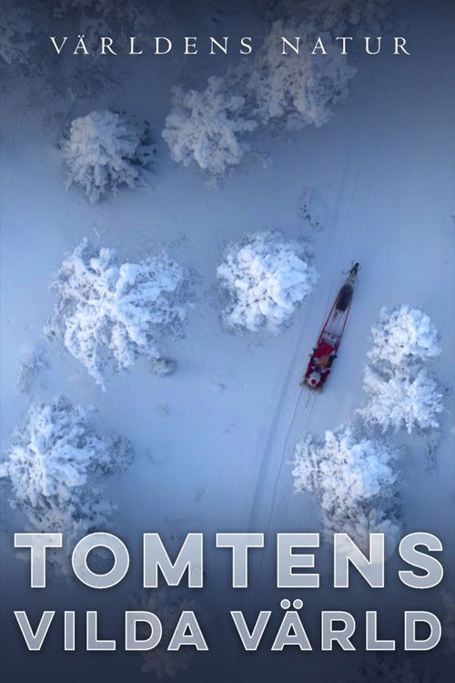 Tomtens vilda värld