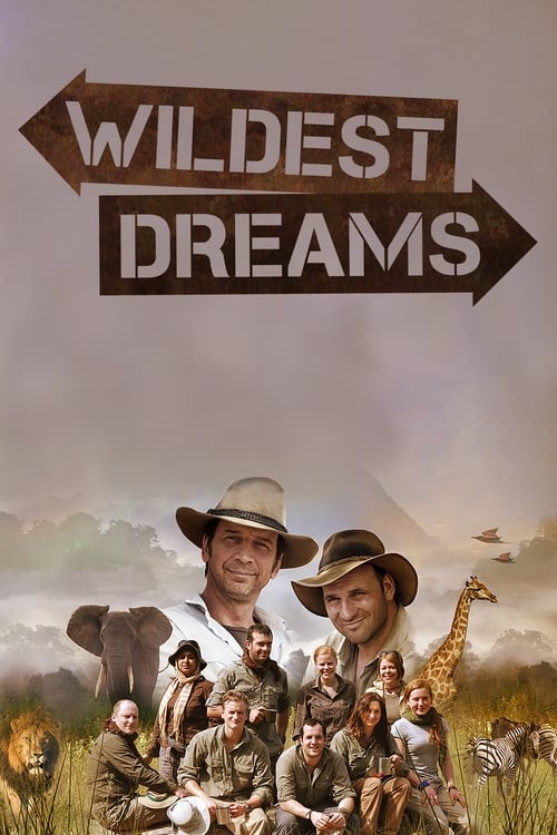 Poster da série Wildest Dreams