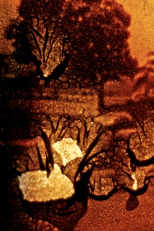 Stuttgart Filmwinter movie poster player