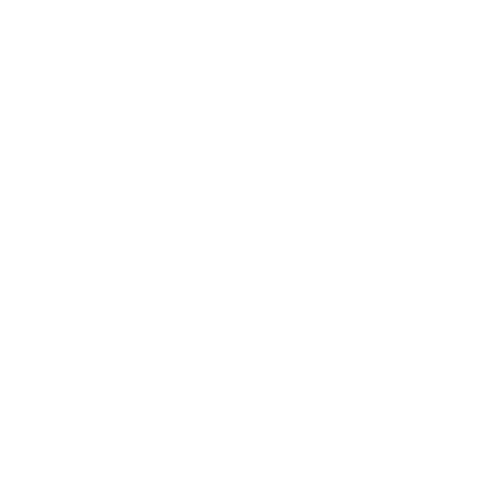 ميريام فارس : الرحلة