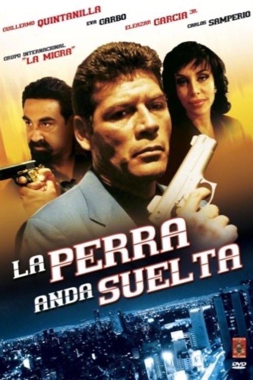 La perra anda suelta (2000) poster