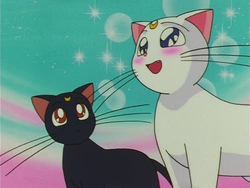 Poster della serie Sailor Moon