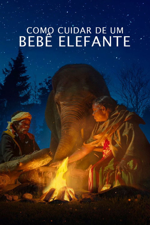 Die Elefantenflüsterer
