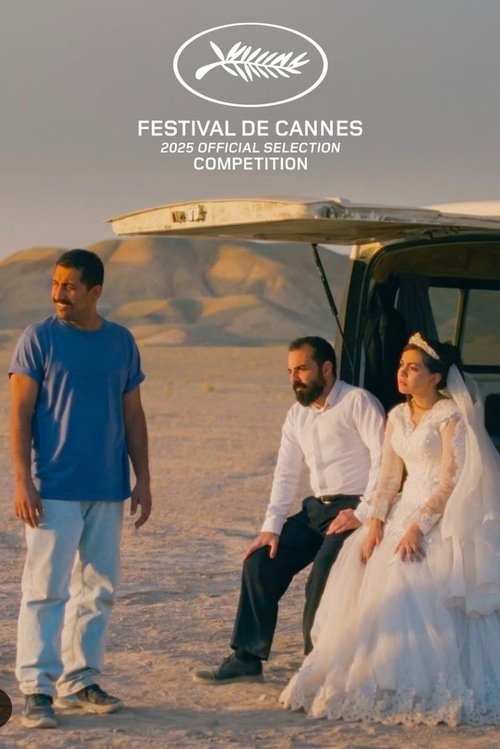یک تصادف ساده