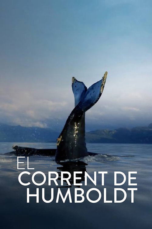 Escena 4 de The Humboldt Current