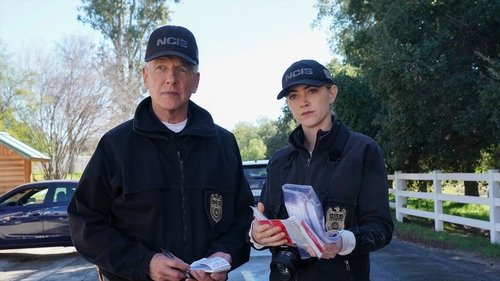 NCIS: Investigação Naval: 17×17