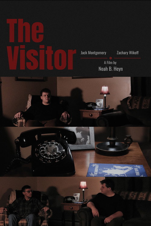 The Visitor
