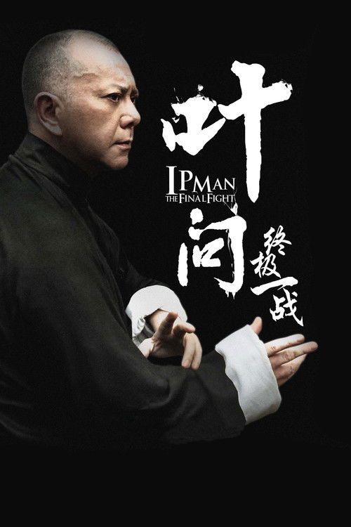 Ip Man: The Final Fight poster