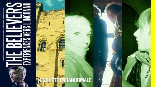 Le château de Newcastle