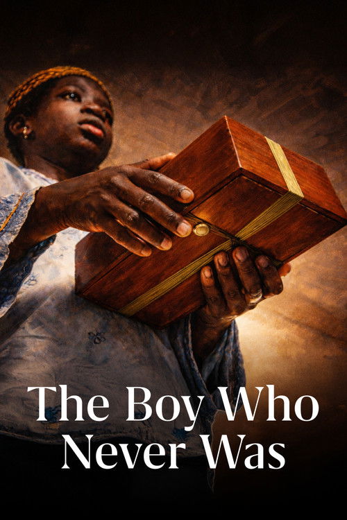 The Boy Who Never Was poster
