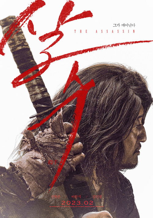 The Assassin poster
