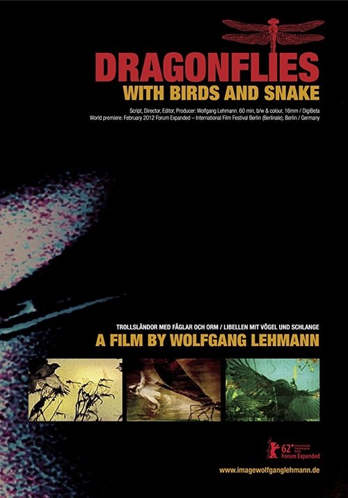 Dragonflies with Birds and Snake (2012)