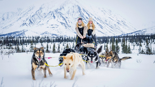 Drømmen om Alaska - Season 1 Backdrop Blur