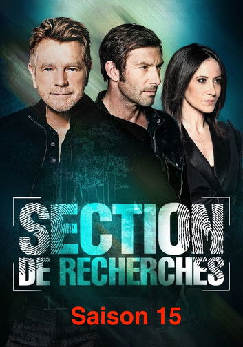 Poster de la saison 15