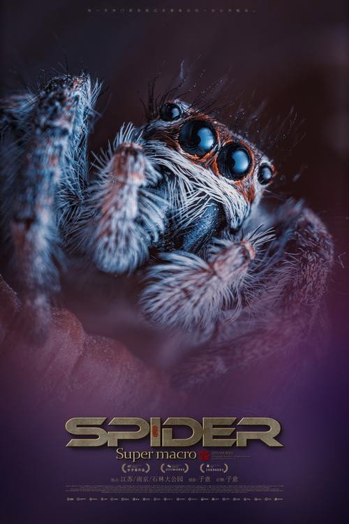 Super Spider