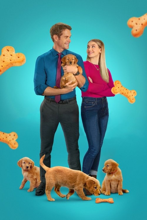 Poster 2