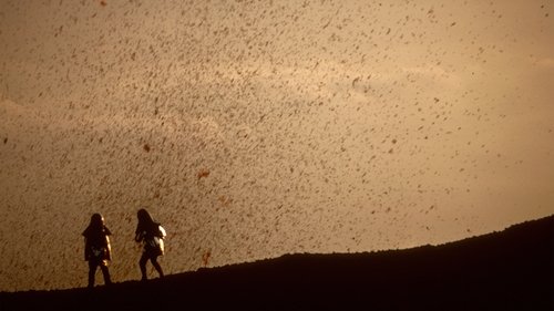 火山挚恋