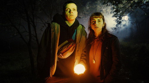 Where Fireflies Sparkle