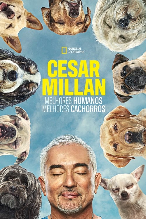 Poster da série Cesar Millan: Melhores Humanos, Melhores Cachorros