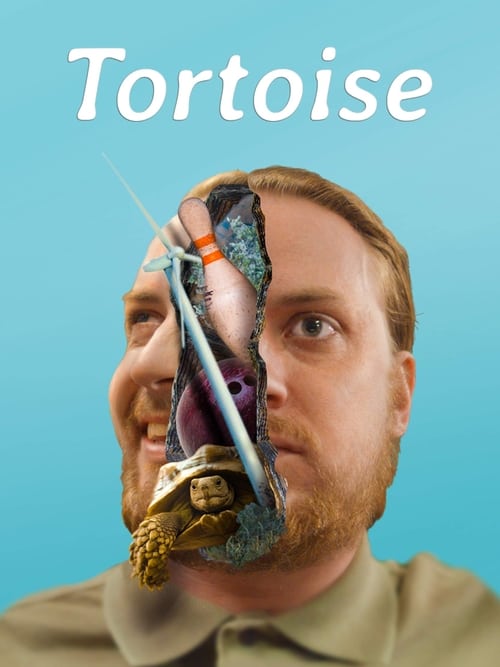 Tortoise 2018