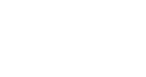 Enter the Ninja