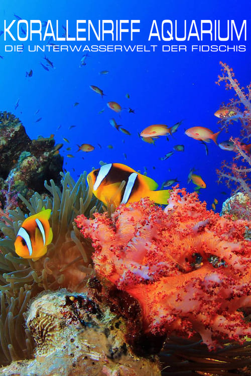 Korallenriff Aquarium in HD - Die Unterwasserwelt der Fidschis 2010