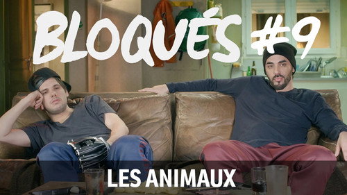 Image Les animaux
