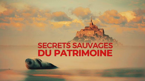 Secrets sauvages du patrimoine Backdrop Blur