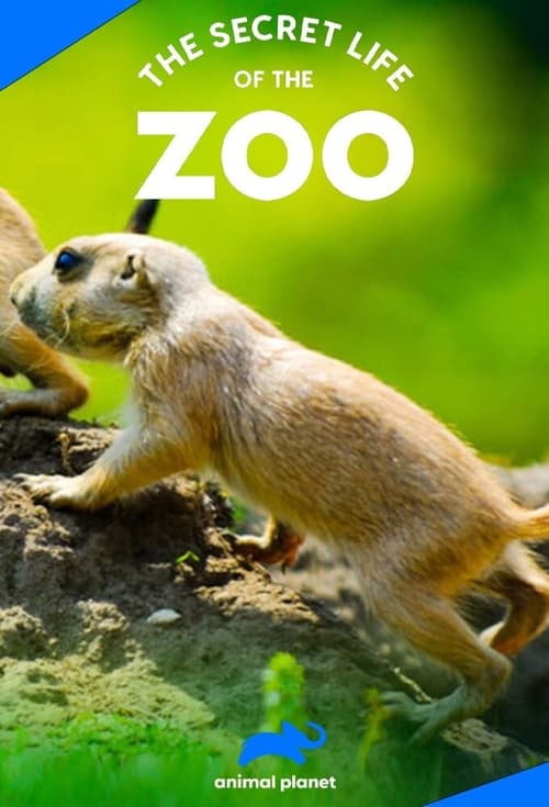 Where to stream The Secret Life of the Zoo Season 8