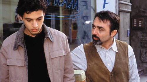 A Little Bit of Freedom