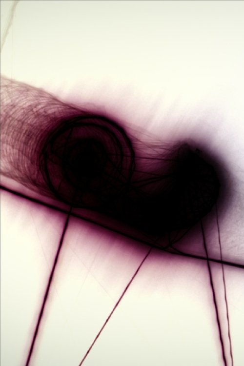 Snail Trail movie poster player