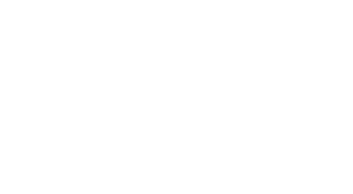 Dioses y perros