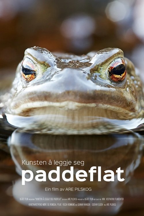 Kunsten å leggje seg paddeflat