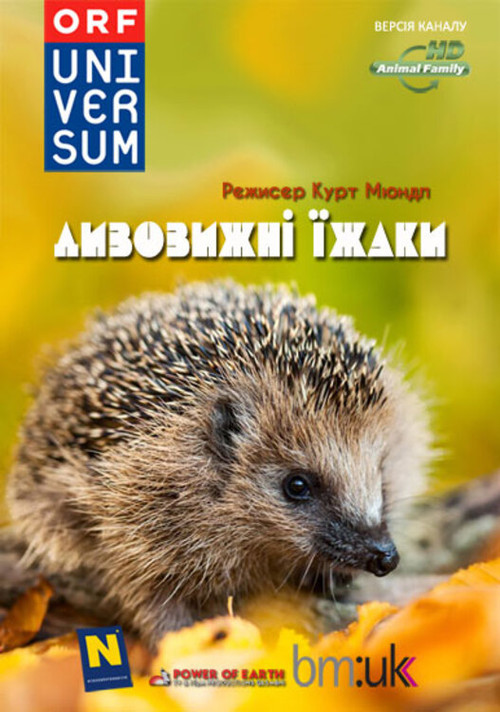 Дивовижні їжаки