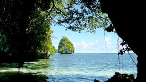 Palau, la république de corail