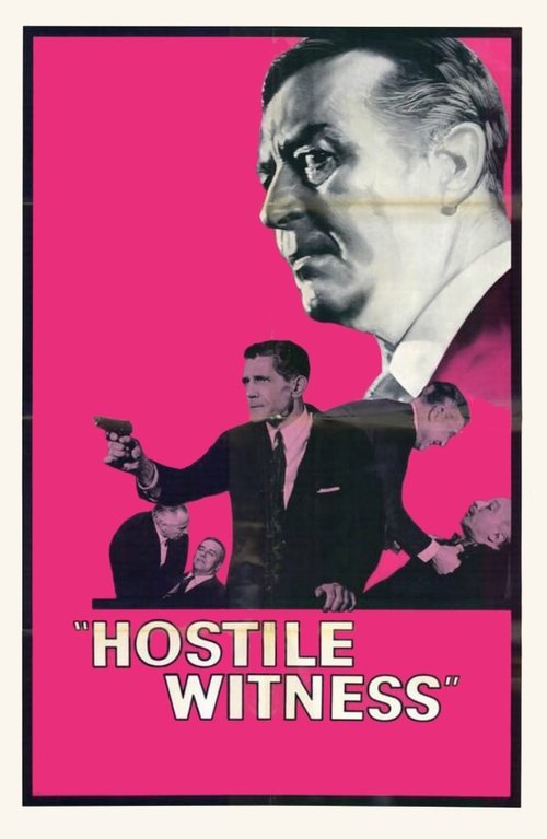 Hostile Witness poster