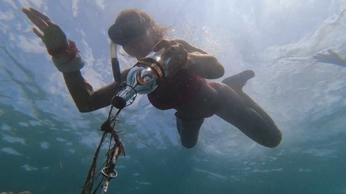 Image de l'épisode 13