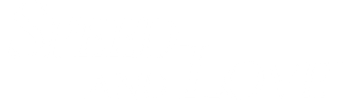 Velocidade e Amor - Logo 2