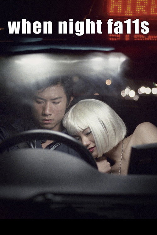 When Night Falls