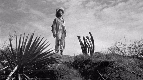 The Treasure of the Sierra Madre