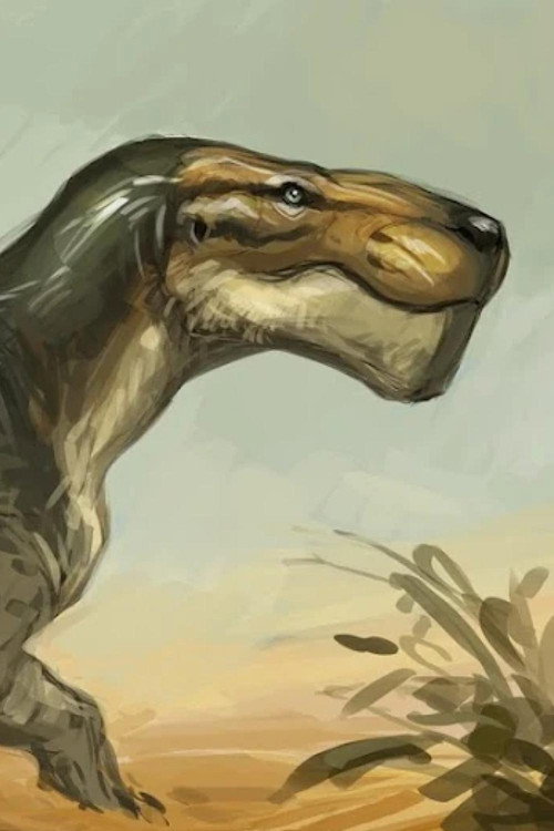 Gorgonopsid