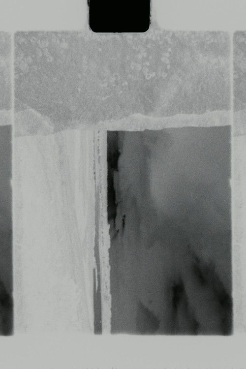 Rendezvous with Dehus