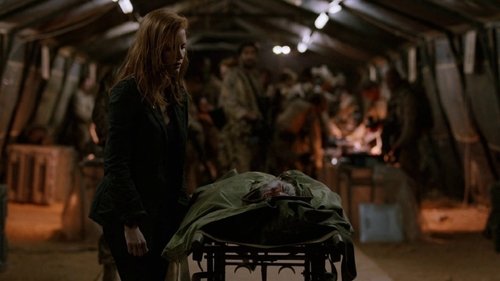Zero Dark Thirty (2012)