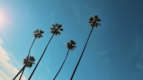 People & Things still