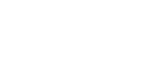 Davy Crockett, King of the Wild Frontier
